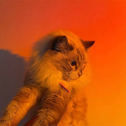 Projector Sunset lamp